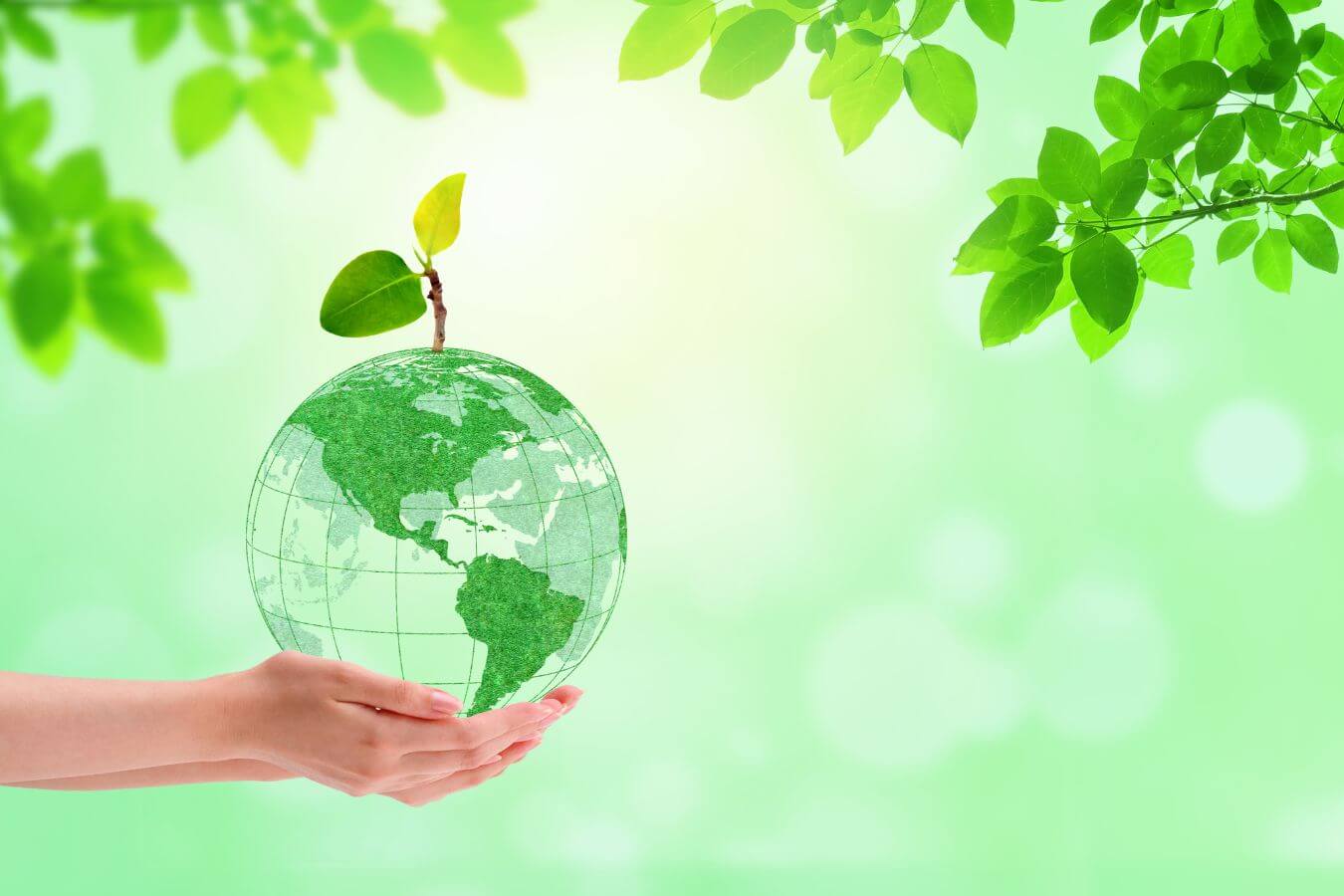 Green Thinking - Green Planet