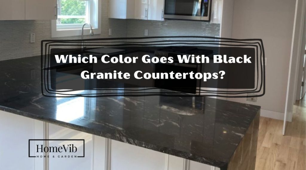 Which Color Goes With Black Granite Countertops? HomeVib