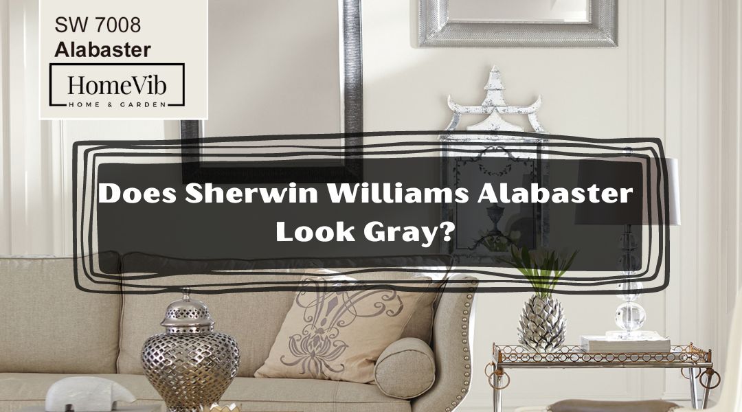 Does Sherwin Williams Alabaster Look Gray?