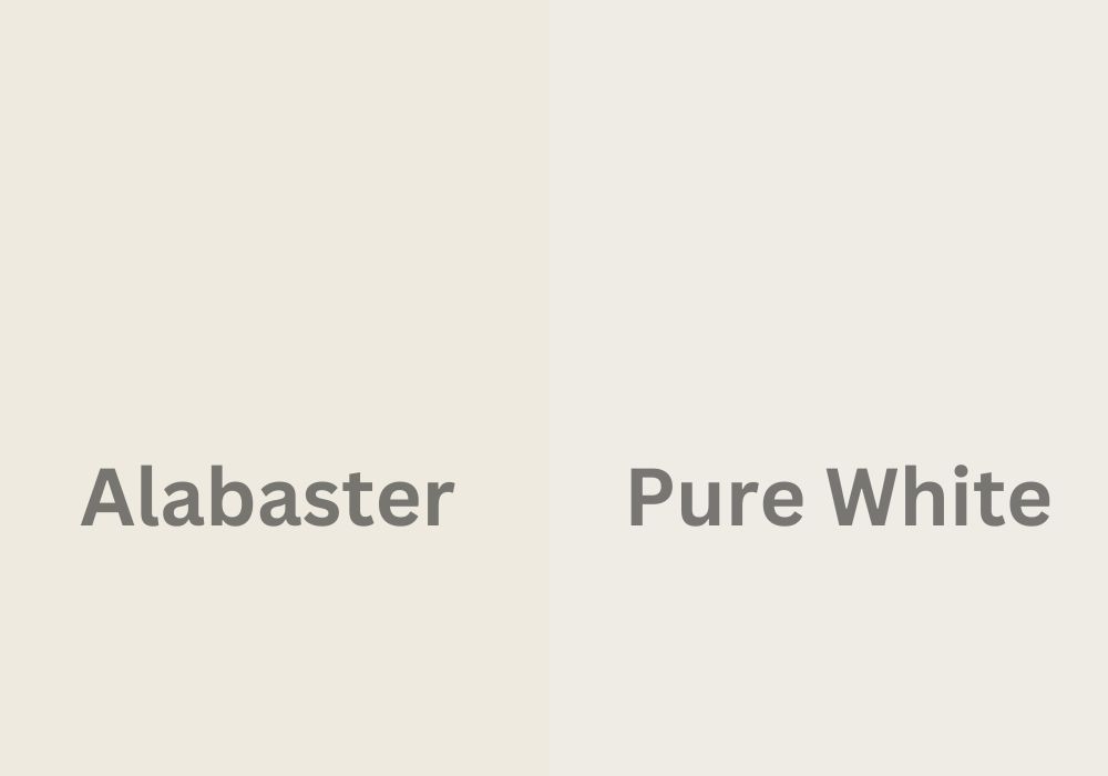 Sherwin Williams Alabaster vs. Pure White