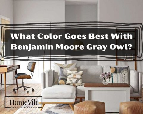 What Color Goes Best With Benjamin Moore Gray Owl?