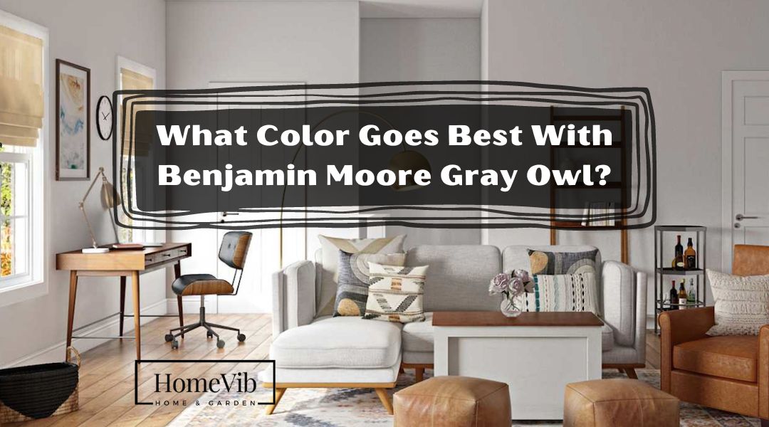 What Color Goes Best With Benjamin Moore Gray Owl?