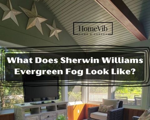 What Does Sherwin Williams Evergreen Fog Look Like?