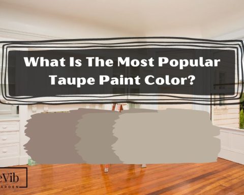 What Is The Most Popular Taupe Paint Color?