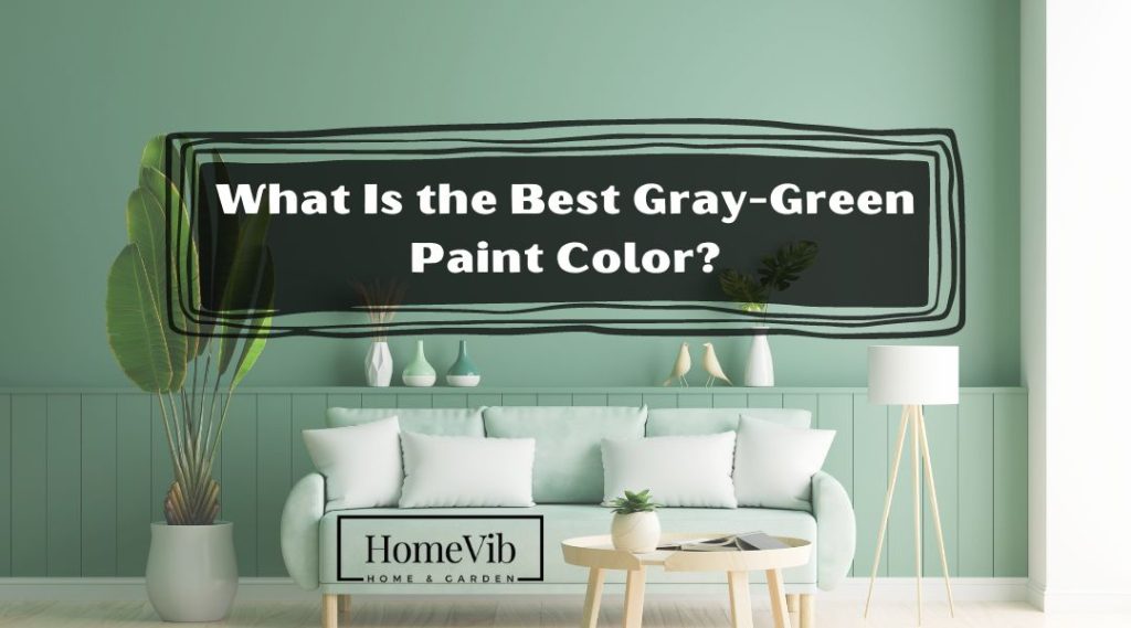 What Is the Best GrayGreen Paint Color? (14 Rich Colors) HomeVib