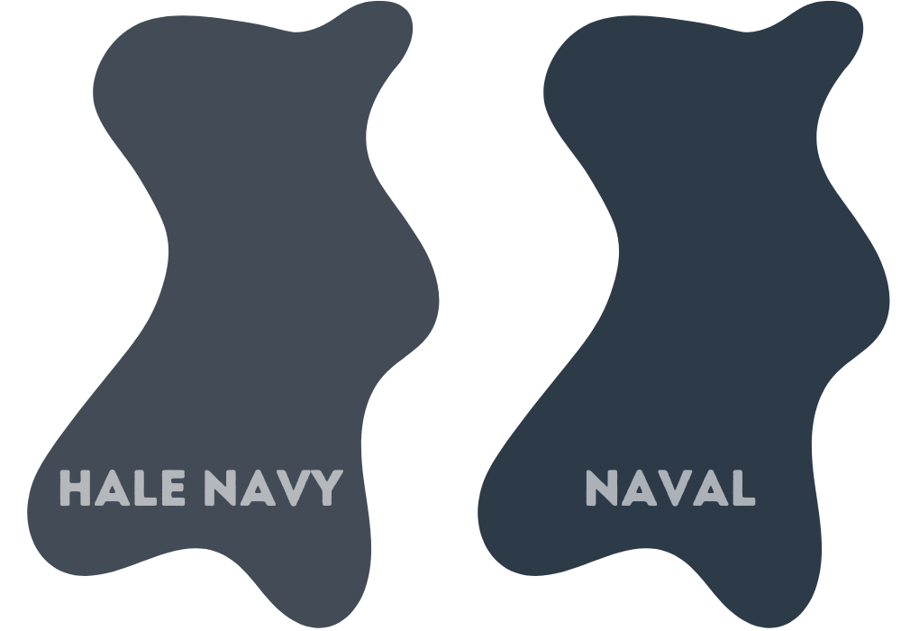 What Is the Difference Between BM Hale Navy And SW Naval?