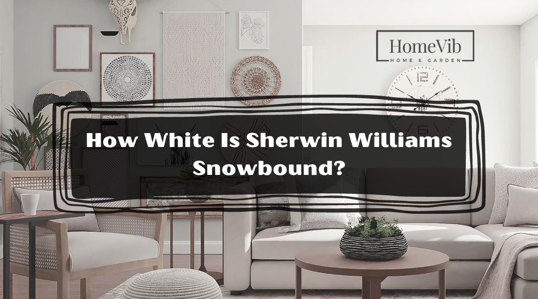 How White Is Sherwin Williams Snowbound?