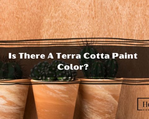 Is There A Terra Cotta Paint Color?