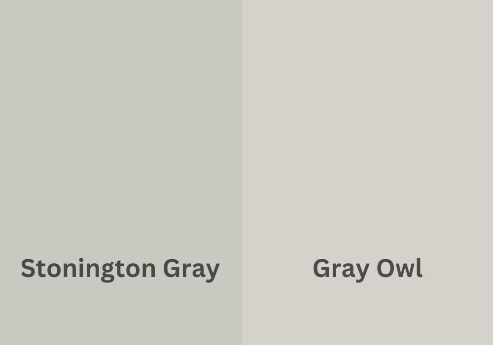 Stonington Gray vs. Gray Owl