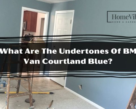 What Are The Undertones Of BM Van Courtland Blue?