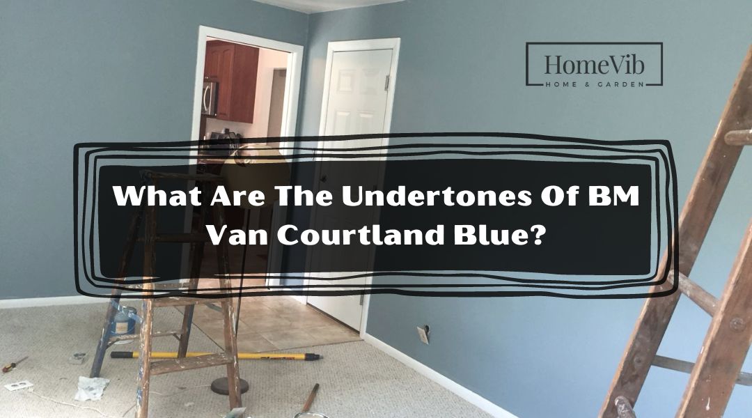 What Are The Undertones Of BM Van Courtland Blue?