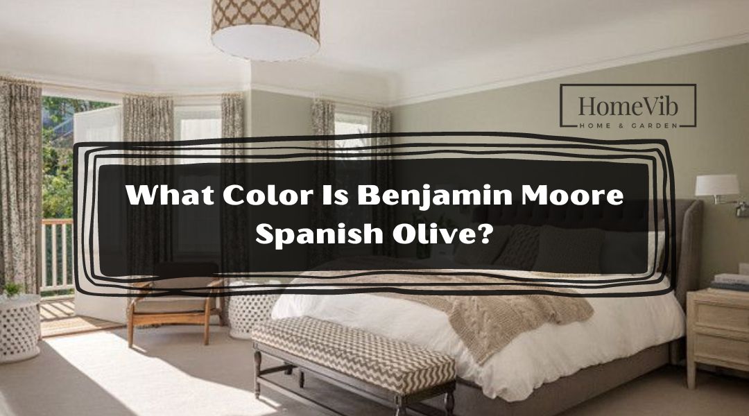 What Color Is Benjamin Moore Spanish Olive?