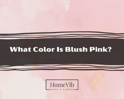What Color Is Blush Pink?