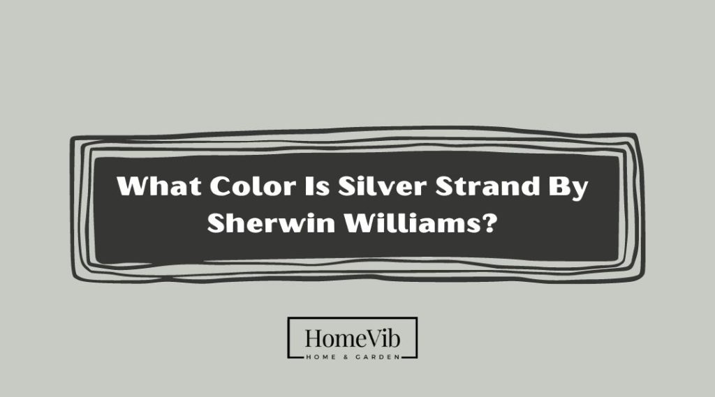 What Color Is Silver Strand By Sherwin Williams HomeVib