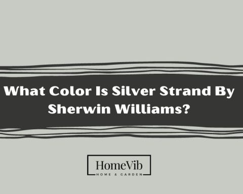 What Color Is Silver Strand By Sherwin Williams?