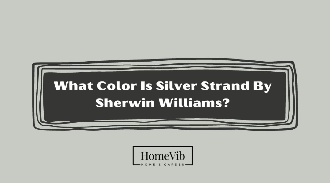What Color Is Silver Strand By Sherwin Williams?