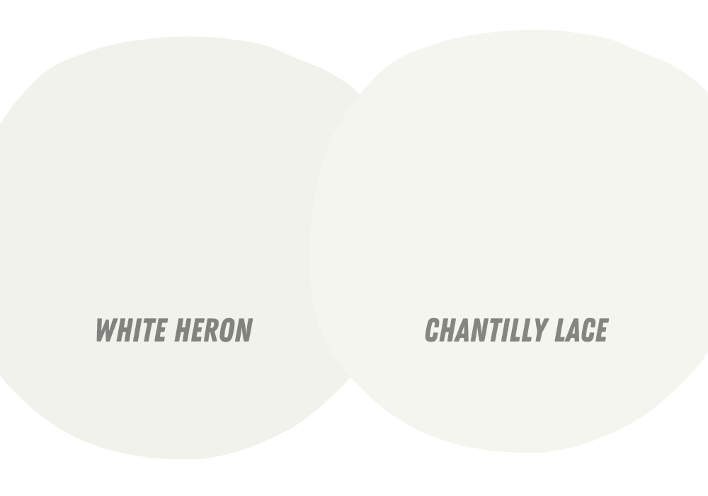 What Is the Difference Between White Heron And Chantilly Lace?