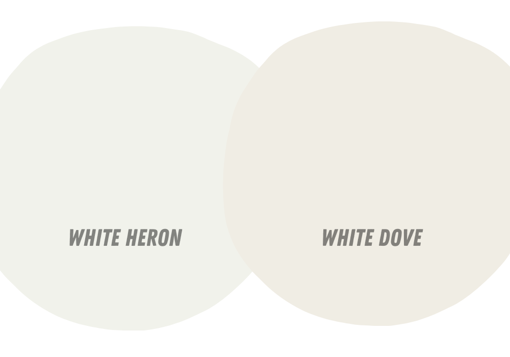 What Is the Difference Between White Heron And White Dove?