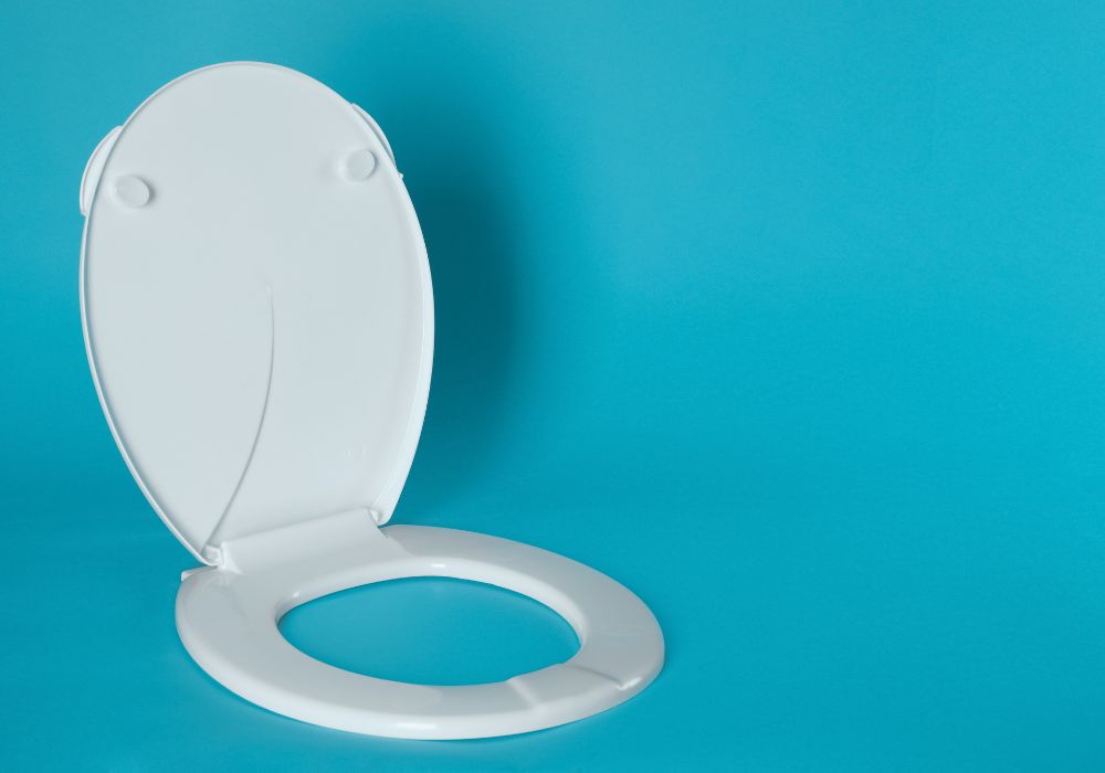 Characteristics And Features Of Plastic Toilet Seats