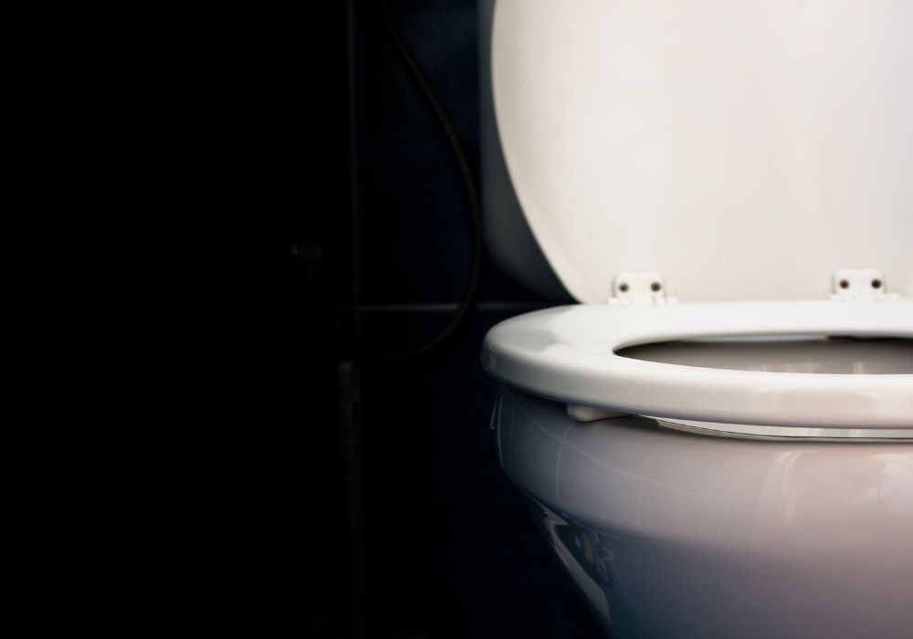 Factors To Consider When Choosing a Toilet Seat