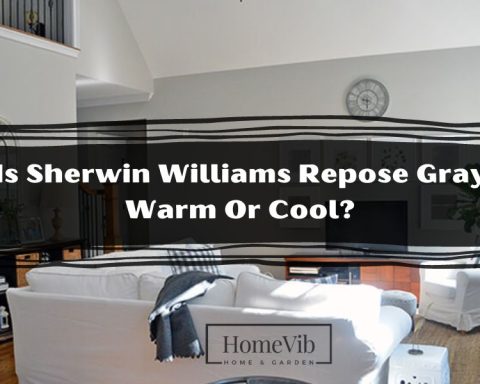 Is Sherwin Williams Repose Gray Warm Or Cool?