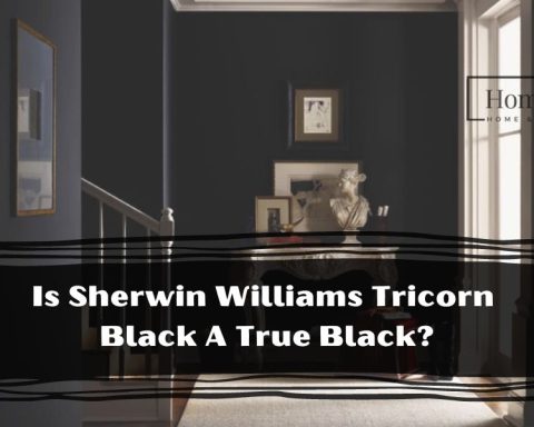 Is Sherwin Williams Tricorn Black A True Black?