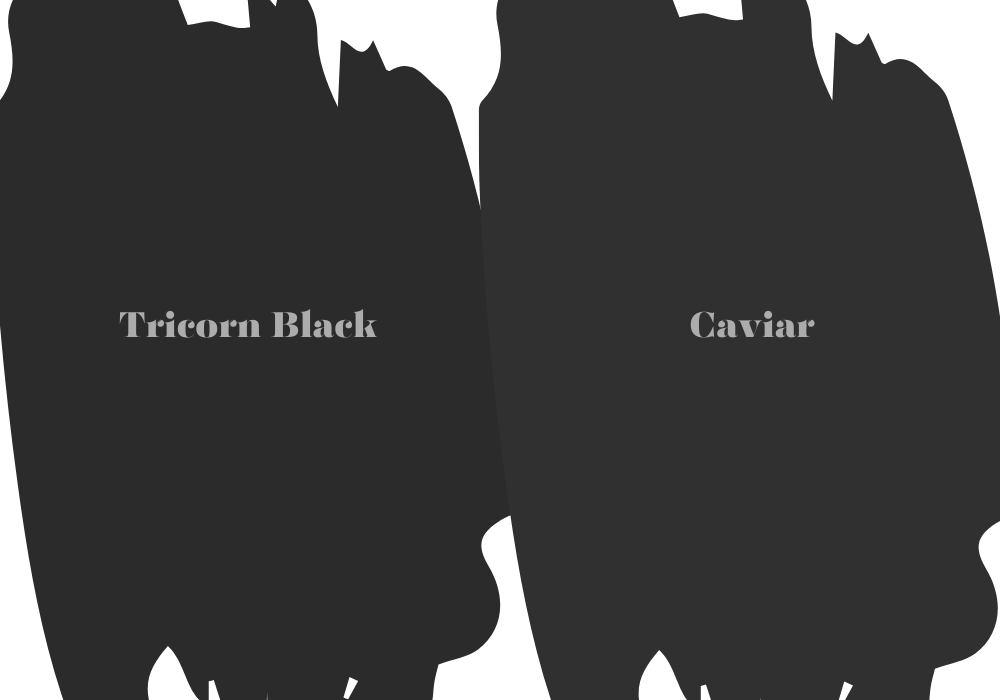 Is Tricorn Black Darker Than Caviar?