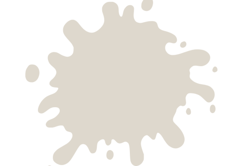 What Colors Go Well With Benjamin Moore Pale Oak? - HomeVib