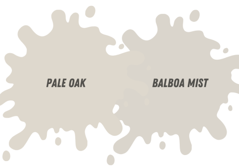 What Colors Go Well With Benjamin Moore Pale Oak? - HomeVib