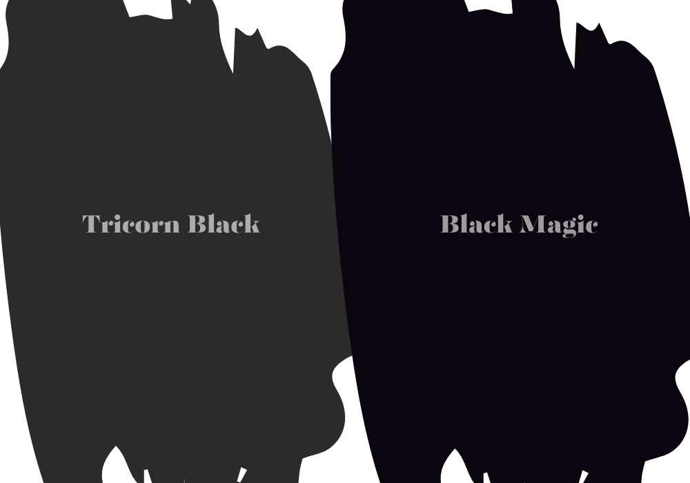 What Is the Difference Between Sherwin Williams Tricorn Black And Black Magic?