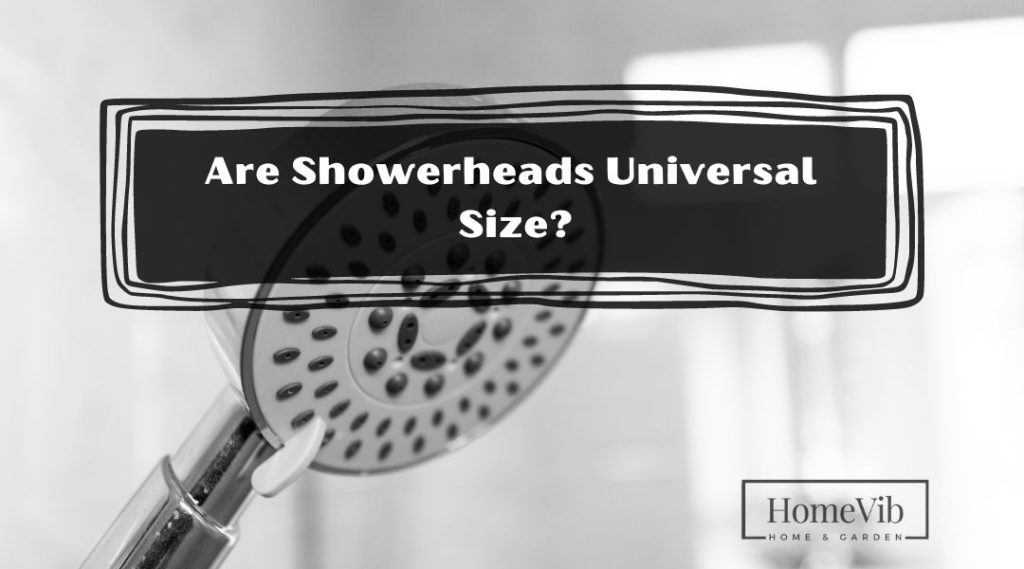 Are Showerheads Universal Size? HomeVib