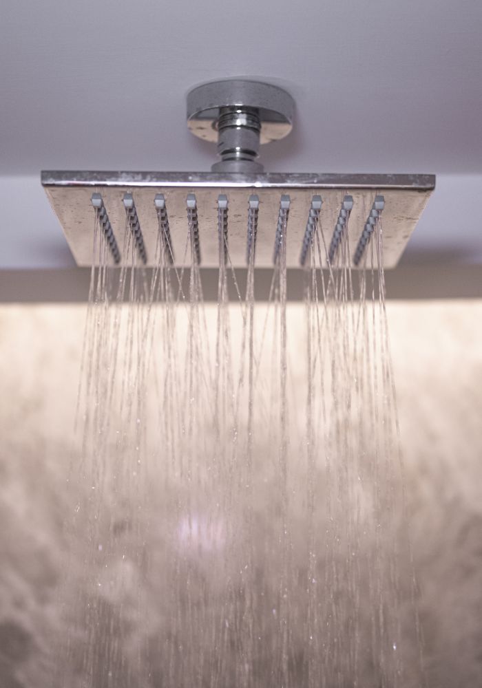 Ceiling Mount Showerheads