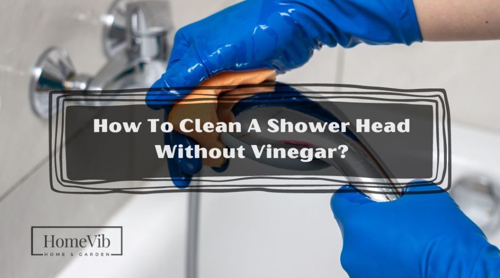 How To Clean A Shower Head Without Vinegar? HomeVib
