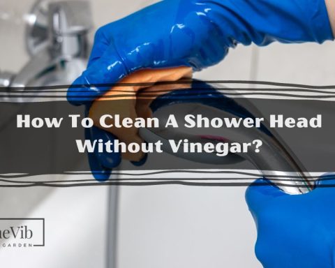 How To Clean A Shower Head Without Vinegar?