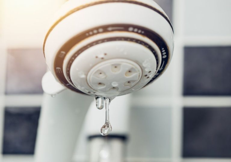 Why Is There No Water Coming Out Of The Shower Head? HomeVib