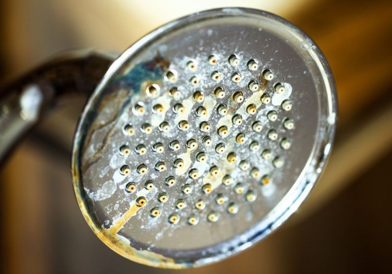 why-is-there-no-water-coming-out-of-the-shower-head-homevib