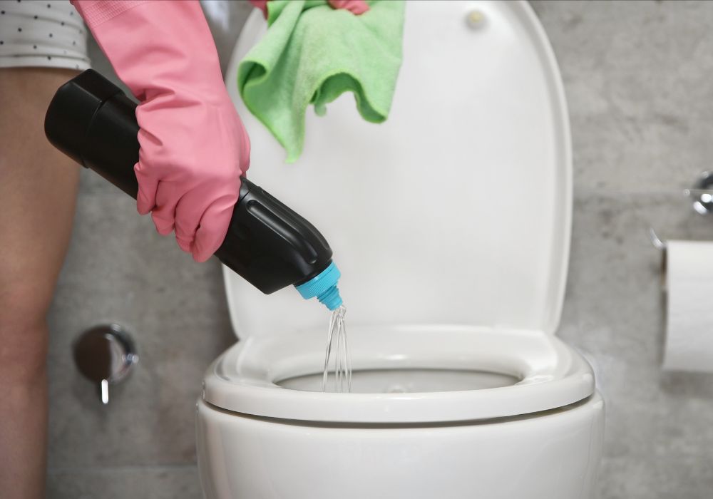 What Can You Pour Down a Toilet To Unclog It?