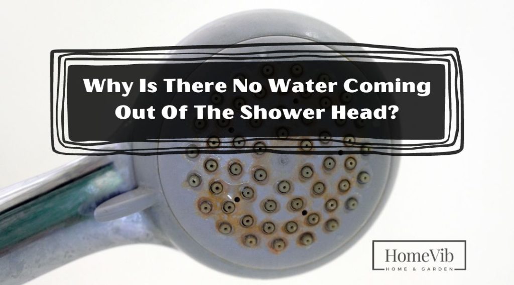 why-is-there-no-water-coming-out-of-the-shower-head-homevib